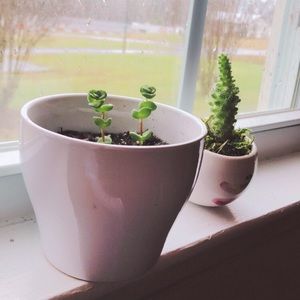 Meet your Posher, Hailey